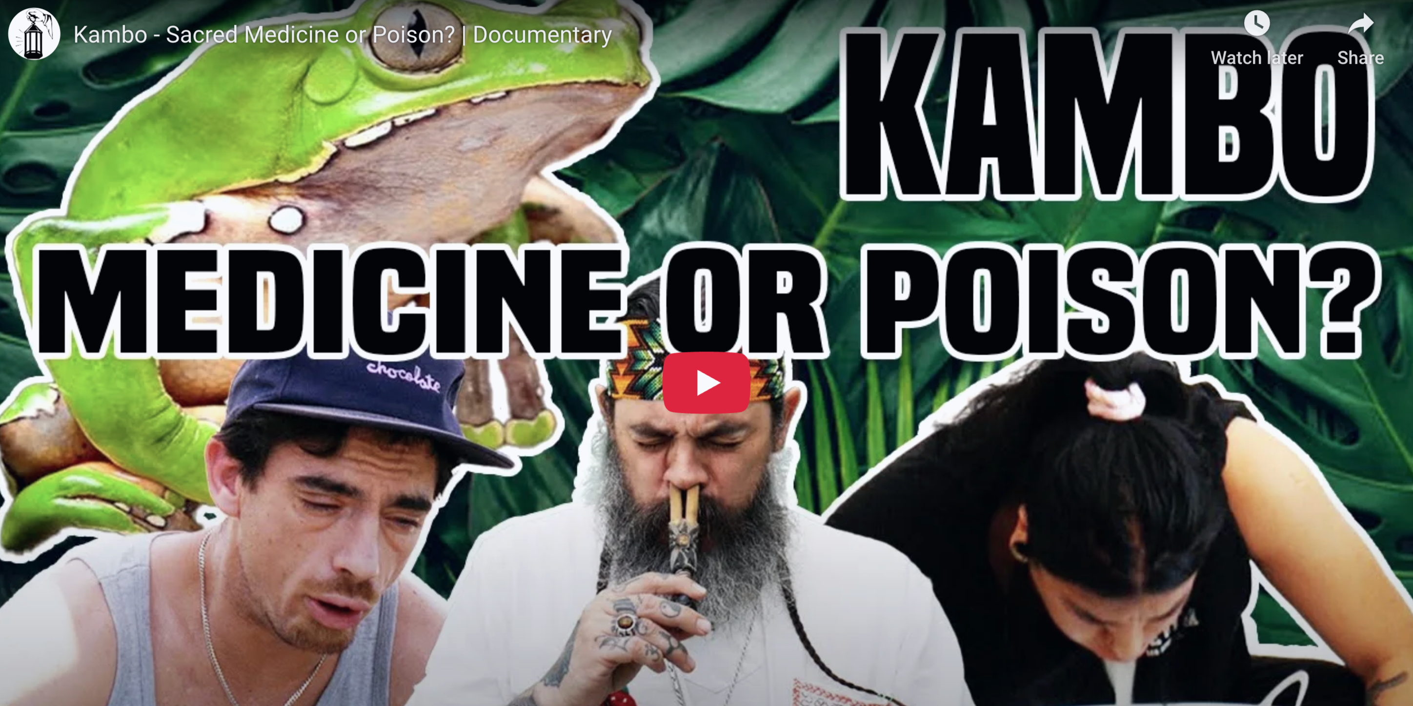 Load video: kambo orange county ceremony preview